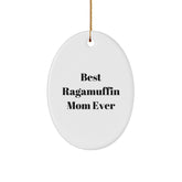 Funny Ragamuffin Cat Gifts from Mom, Oval Ornament for Christmas Unique Gifts for Ragamuffin Cat Lovers - Image 1